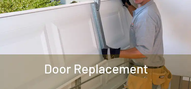 Door Replacement 